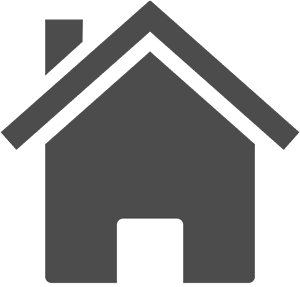 Haus Icon